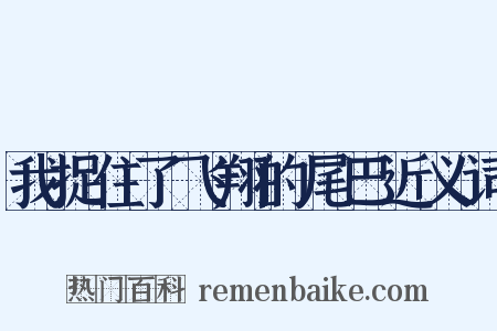 我捉住了飞翔的尾巴近义词是什么意思的图片